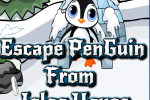 Ena Escape PenGuin From Igloo House