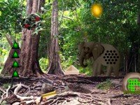 Mayas Dynasty Forest Escape