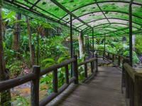 Nursery Garden