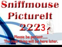 PictureIt 223 (ish)