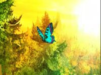 Butterfly Fantasy Forest Escape