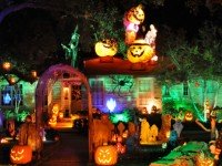 Halloween Haunt House