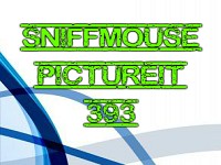 Sniffmouse PictureIt 393