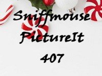 Sniffmouse PictureIt 407