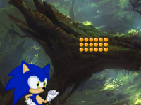 Seeking The Sonic Friend