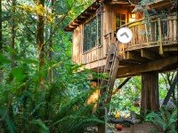 Mushroom Tree House Forest Escape