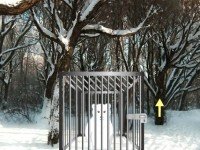 Snow Bear Forest Rescue Escape